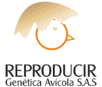 Reproducir Genetica Avicola
